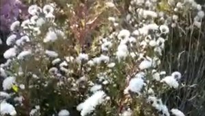 сентябринка.mp4