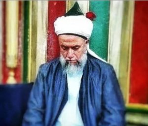 Шейх Мехмет Эфенди. Секрет успеха