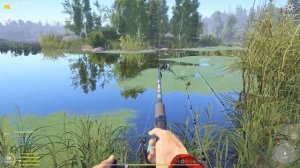 Амур и карп на картофель в игре Русская Рыбалка 4 на озере Старый Острог
