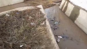 Вечерний сбор , алюминевых банок , арычная система.