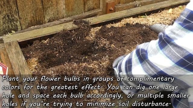 Planting A Flower Bulb Garden - Spring Bulbs смотреть онлайн