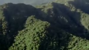 Сын с женой выгнал мать из дома'. Истории из жизни.