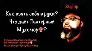 Как взять себя в руки I  Что дает пантерный мухомор I SkyTrip