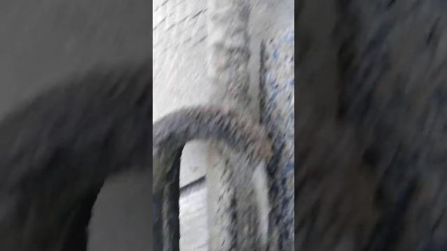 Вот почему вода пахнет сероводородом... смотреть онлайн