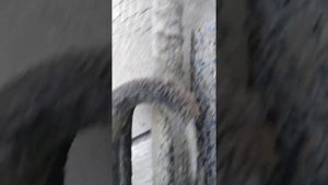 Вот почему вода пахнет сероводородом...