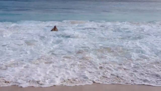 Самые большие волны, в которых я плавал смотреть онлайн