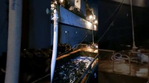 Рыбалка на Камчатке в охотском море (первая рыба 2020)