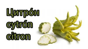 Как произносится цитрон по-русски