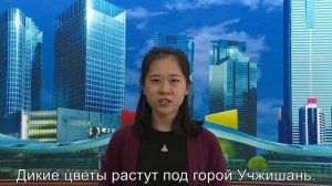 Ян Тяньцзяо, номер - стихотворение китайского поэта XI века Су Ши