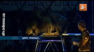 Африканский цирк в Одессе 14.11.2011