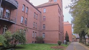 Бранденбург. Германия. 2021 год.