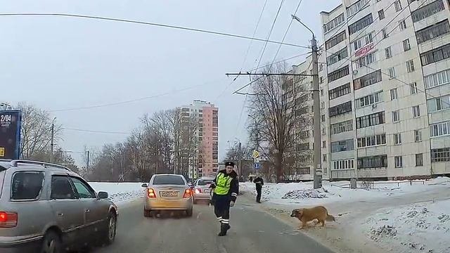 Московская ГИБДД в действии