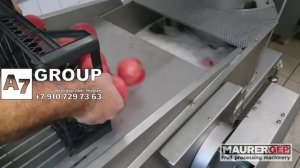 Линия прямого отжима сока граната 1000 кг/ч