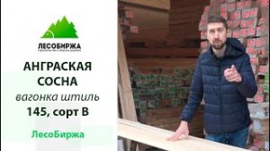 Вагонка из ангарской сосны штиль сорт АВ (В)