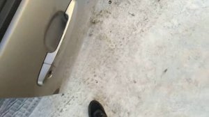 Завожу Toyota Corolla120 в -38