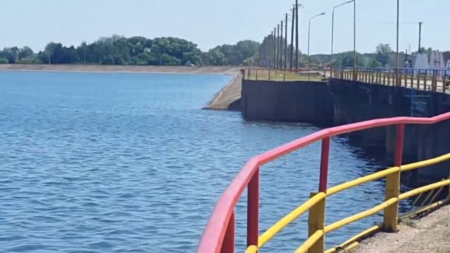 Толстолобик .Невероятное скопление рыбы смотреть онлайн