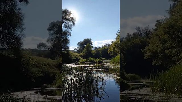 Не далеко от дома, где можно отдохнуть!