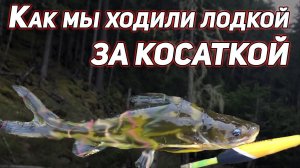 КАК МЫ ХОДИЛИ ЛОДКОЙ ЗА КОСАТКОЙ. 4К