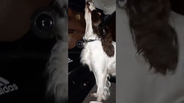 MATRIX САМАРА смотреть онлайн