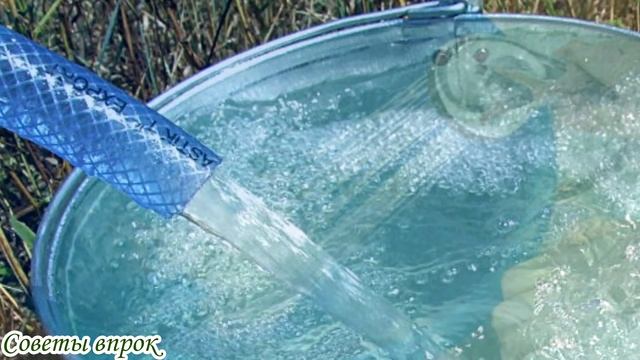 ➤Это полезно знать➤Почему нельзя выливать воду вечером➤ смотреть онлайн