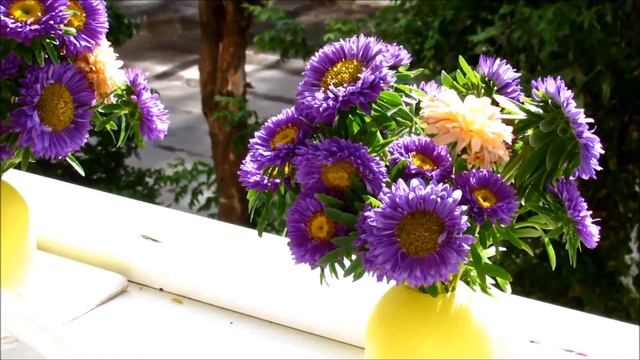 Выращивание перца на балконе смотреть онлайн