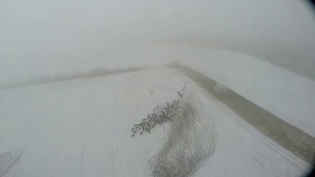Южная и Центральная подкормочные площадки