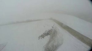 Южная и Центральная подкормочные площадки