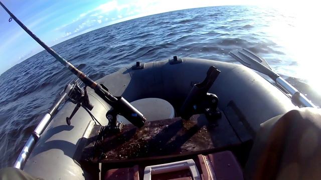 Рыбалка на Финском заливе. Отчёт за 09.06.2024. РЛЦ "Раскат". Плотва, лещ.