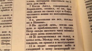 Почему христианам можно есть свинину