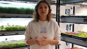 Ферма микрозелени. Обзор производства.