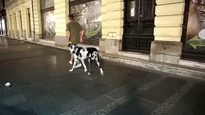 НОЧНЫМ БЕЛГРАДОМ