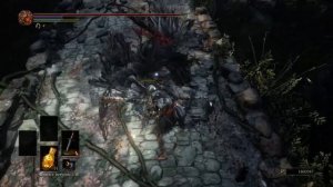ГАЙД Где фармить Большую косу Демона-Ворона в Dark Souls 3