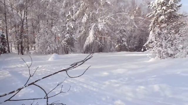 На ледянке с песчанки. Черноголовка. смотреть онлайн