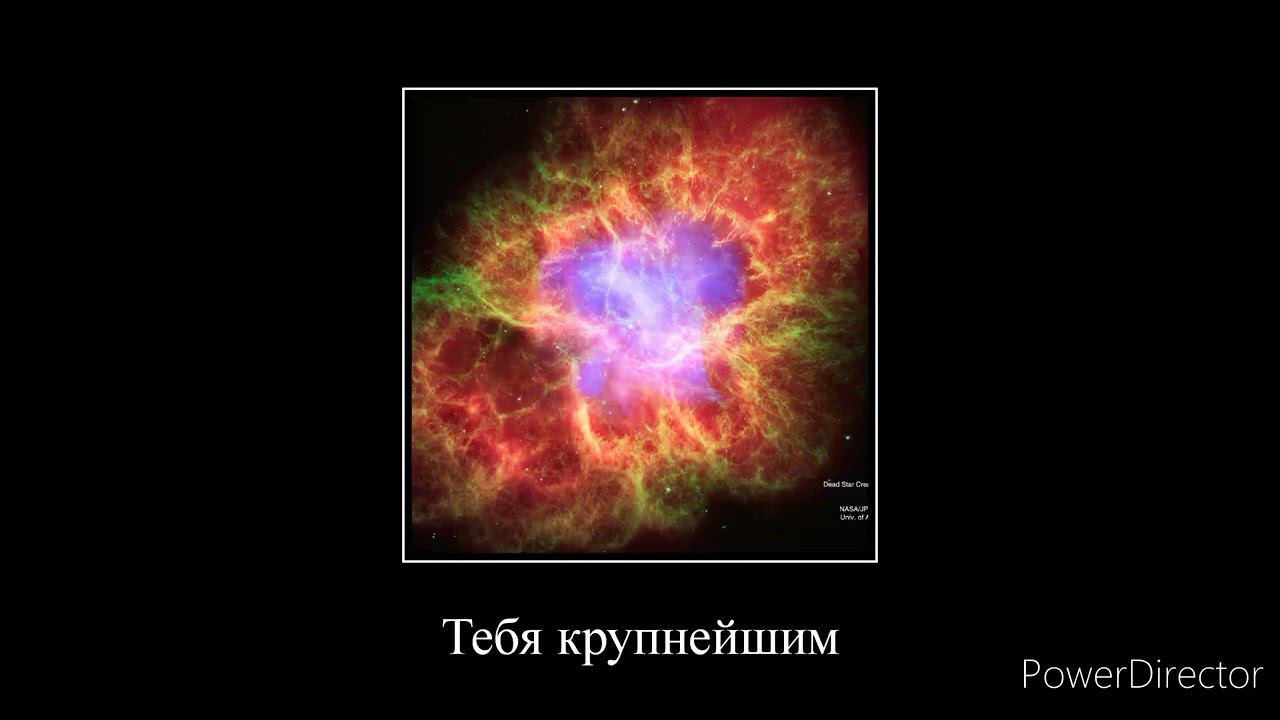 Реклама ТД Подкова (Демотиватор) смотреть онлайн