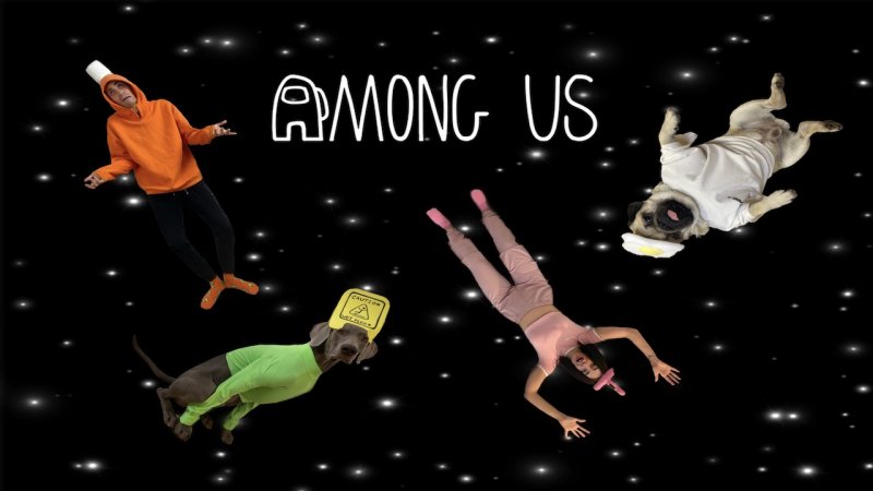 AMONG US 2 - МЫ РЕШИЛИ СЫГРАТЬ СО СВОИМИ СОБАКАМИ