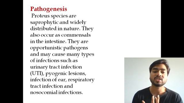 Proteus | Biochemicals | Morgenella | Providancia | Lab Diagnosis (By Abhishek sir) смотреть онлайн