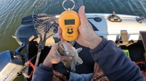 Рыбалка на джиг, ловим Судака  Омская область, закрытие сезона жидкой воды. 2022г ну хоть не болт.