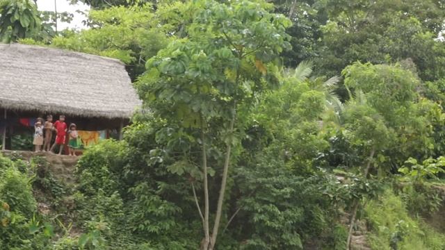 Cautiously watching us - La Ruta del Agua Expedition - Kayser Forum for Sustainability смотреть онлайн