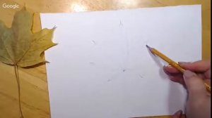 Кленовый лист. Мастер-класс. Урок рисования