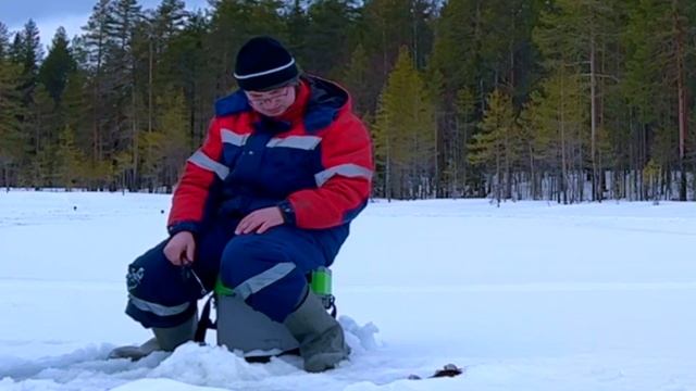 Дикий клев! Выбил озеро в ноль. Рыбалка и туризм в Карелии.