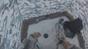 Рыбалка в Сибири #32. Зимняя рыбалка на Обском водохранилище, в Бердском заливе, на плотву и судака