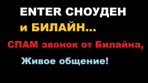 Разговор со Спам-специалистом из Билайна. Предложил мне сменить моего провайдера на Билайн.