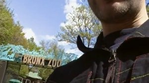 Entering The Worlds famous Bronx Zoo