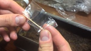 ХИЩНЫЕ РАСТЕНИЯ И КАК ИХ ВЫРАЩИВАТЬ!!!