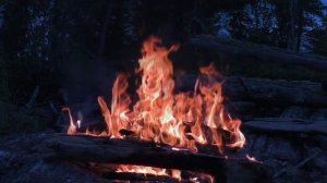 Костер в Алтайском лесу, 30 минут || Звуки для сна, учебы, медитации || Эмбиент Ambient ASMR