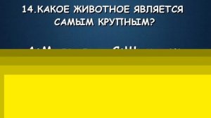 Тест: Насколько Ты Умный? Проверь Себя!