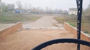 Трактор Т-16 М ( получил зерно, отвал )