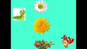 занятие для детей раннего возраста на тему "Цветы"