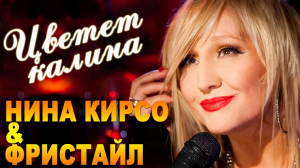 Цветёт калина (Фристайл) разбор на гармони №-238 с цифрами