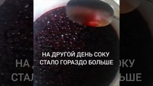 Черноплодная рябина в собственном соку с сохранением витаминов?